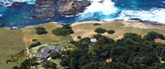 View Gallery